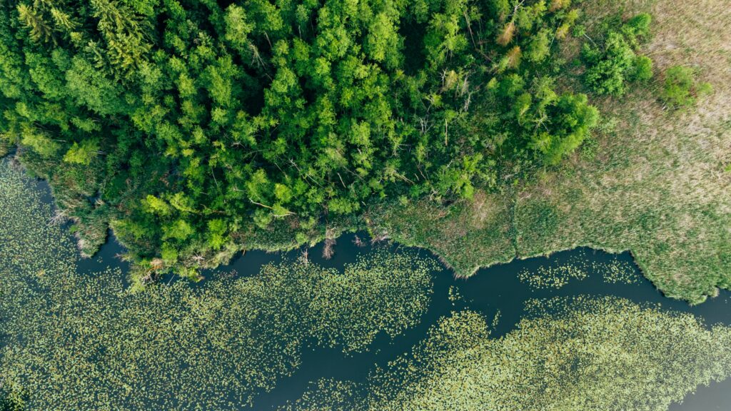 shutterstock_2636156461-1024x576